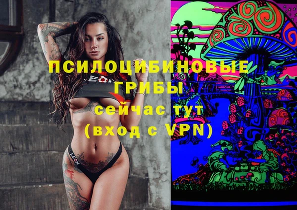 Альфа ПВП Баксан